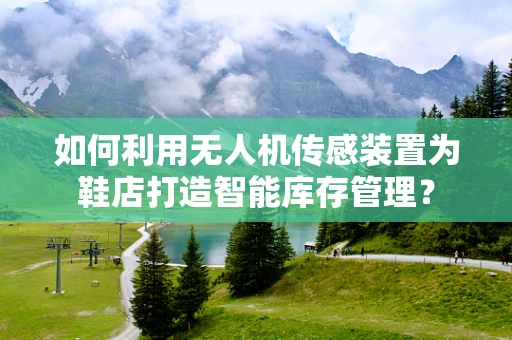 如何利用无人机传感装置为鞋店打造智能库存管理？