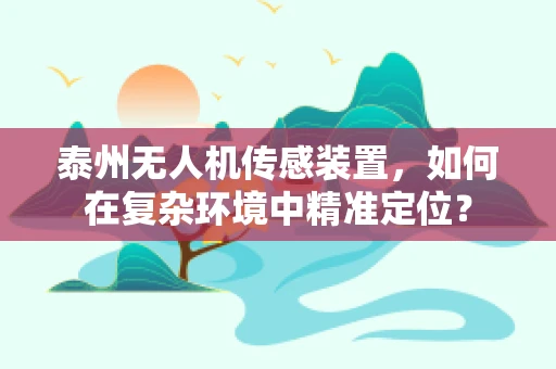 泰州无人机传感装置，如何在复杂环境中精准定位？