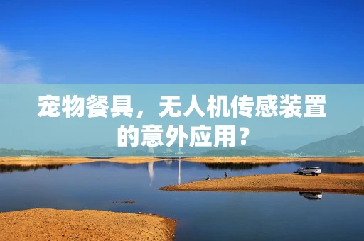 宠物餐具，无人机传感装置的意外应用？