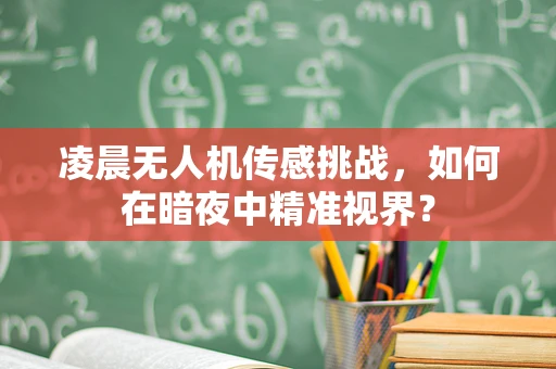 凌晨无人机传感挑战，如何在暗夜中精准视界？