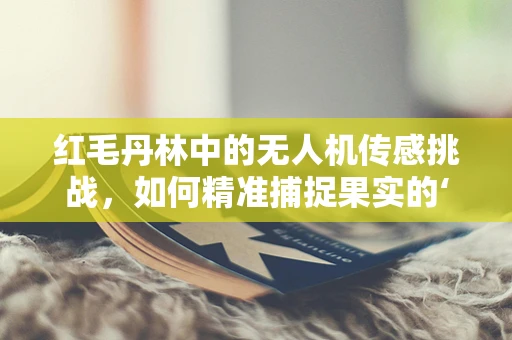 红毛丹林中的无人机传感挑战，如何精准捕捉果实的‘甜蜜’？
