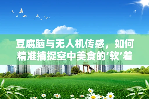 豆腐脑与无人机传感，如何精准捕捉空中美食的‘软’着陆？