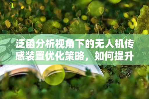 泛函分析视角下的无人机传感装置优化策略，如何提升数据处理的函数空间映射能力？
