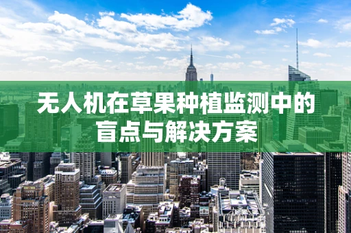 无人机在草果种植监测中的盲点与解决方案