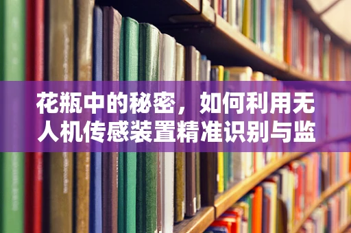 花瓶中的秘密，如何利用无人机传感装置精准识别与监测？