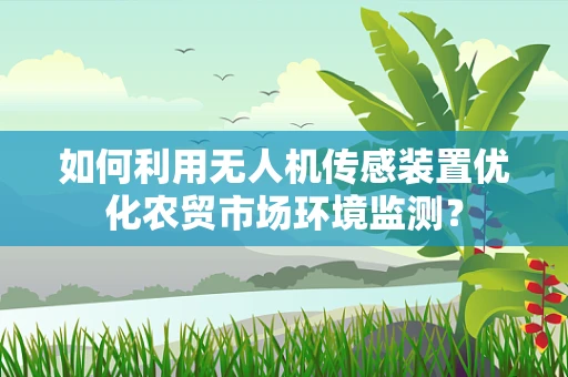 如何利用无人机传感装置优化农贸市场环境监测？