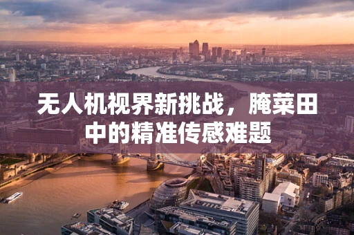 无人机视界新挑战，腌菜田中的精准传感难题