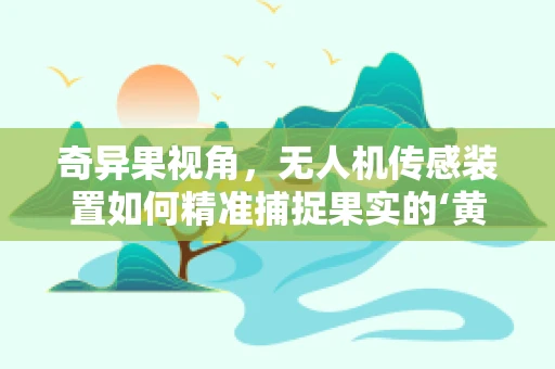 奇异果视角，无人机传感装置如何精准捕捉果实的‘黄金时刻’？