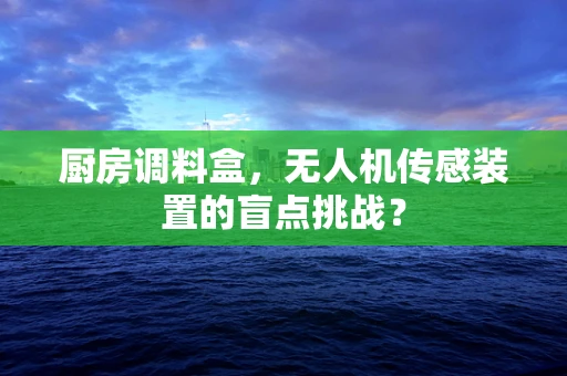 厨房调料盒，无人机传感装置的盲点挑战？