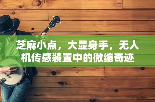 芝麻小点，大显身手，无人机传感装置中的微缩奇迹