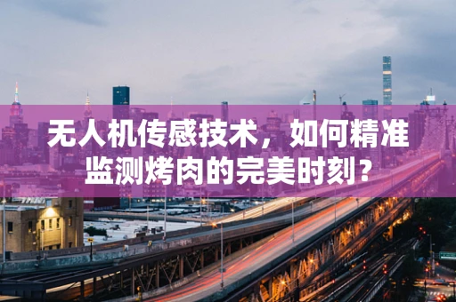 无人机传感技术，如何精准监测烤肉的完美时刻？