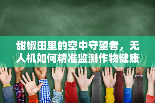 甜椒田里的空中守望者，无人机如何精准监测作物健康？