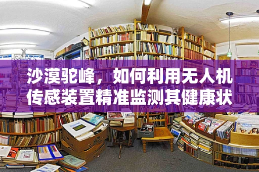 沙漠驼峰，如何利用无人机传感装置精准监测其健康状态？