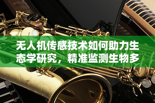 无人机传感技术如何助力生态学研究，精准监测生物多样性的挑战与机遇？