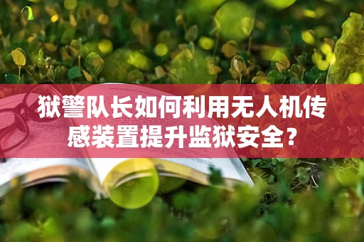 狱警队长如何利用无人机传感装置提升监狱安全？