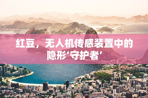 红豆，无人机传感装置中的隐形‘守护者’