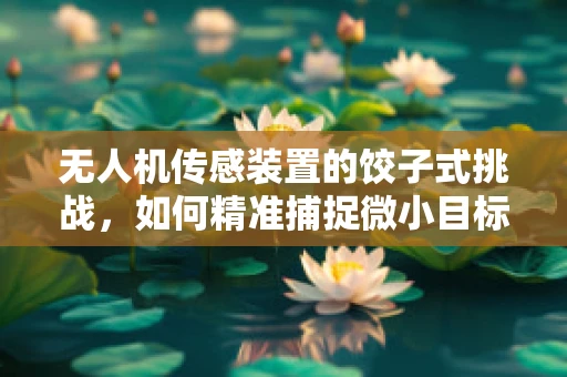 无人机传感装置的饺子式挑战，如何精准捕捉微小目标？