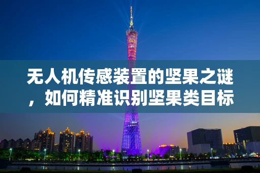 无人机传感装置的坚果之谜，如何精准识别坚果类目标？