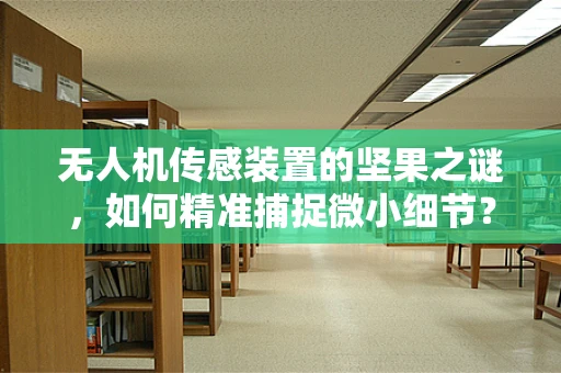 无人机传感装置的坚果之谜，如何精准捕捉微小细节？