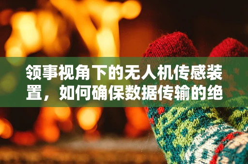 领事视角下的无人机传感装置，如何确保数据传输的绝对安全？