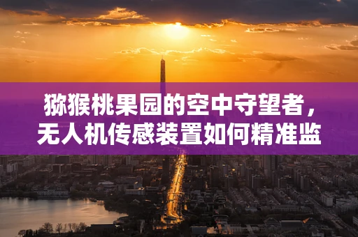 猕猴桃果园的空中守望者，无人机传感装置如何精准监测果实成熟度？