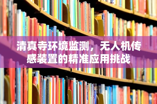 清真寺环境监测，无人机传感装置的精准应用挑战