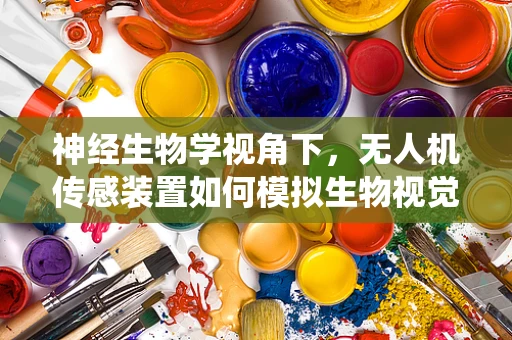 神经生物学视角下，无人机传感装置如何模拟生物视觉系统？