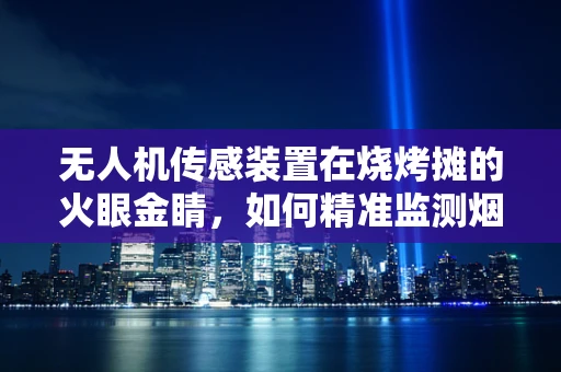 无人机传感装置在烧烤摊的火眼金睛，如何精准监测烟雾与温度？