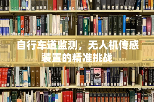 自行车道监测，无人机传感装置的精准挑战