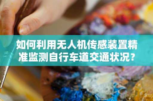 如何利用无人机传感装置精准监测自行车道交通状况？