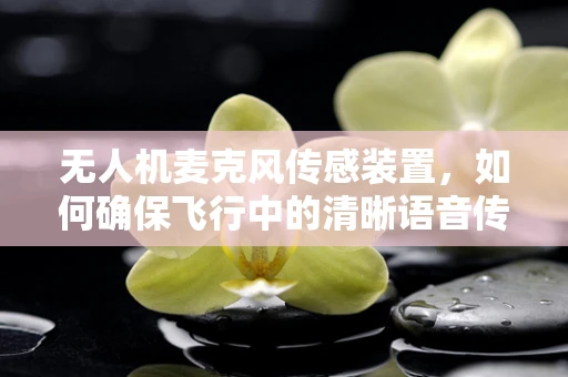 无人机麦克风传感装置，如何确保飞行中的清晰语音传输？