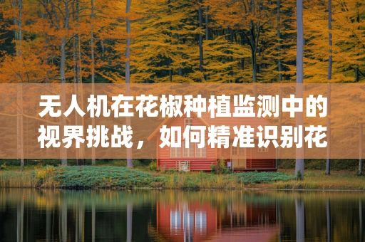 无人机在花椒种植监测中的视界挑战，如何精准识别花椒树病虫害？