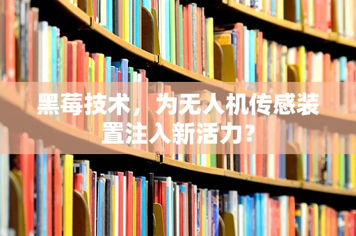黑莓技术，为无人机传感装置注入新活力？