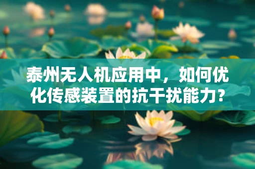 泰州无人机应用中，如何优化传感装置的抗干扰能力？