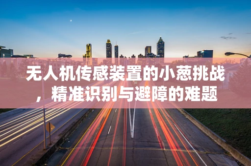 无人机传感装置的小葱挑战，精准识别与避障的难题