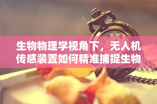生物物理学视角下，无人机传感装置如何精准捕捉生物特征？