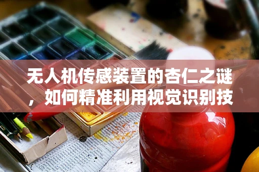 无人机传感装置的杏仁之谜，如何精准利用视觉识别技术？