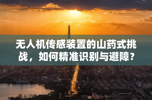 无人机传感装置的山药式挑战，如何精准识别与避障？
