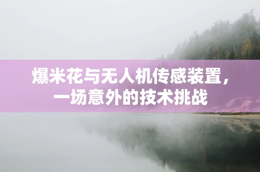 爆米花与无人机传感装置，一场意外的技术挑战