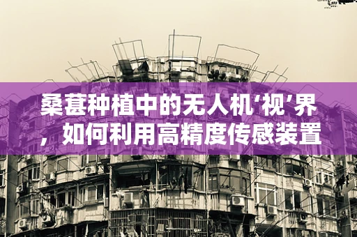 桑葚种植中的无人机‘视’界，如何利用高精度传感装置优化果实监测？