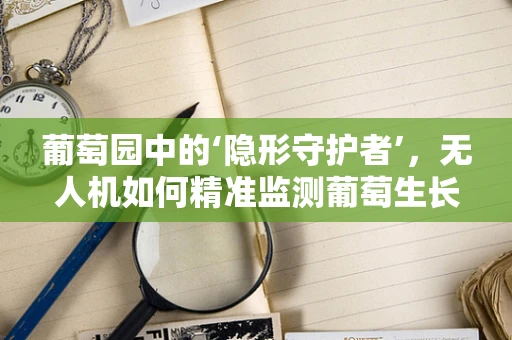 葡萄园中的‘隐形守护者’，无人机如何精准监测葡萄生长？