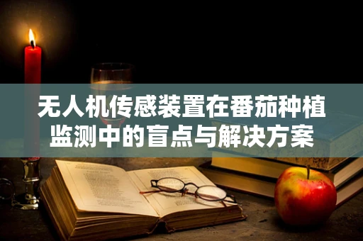 无人机传感装置在番茄种植监测中的盲点与解决方案