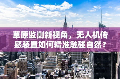 草原监测新视角，无人机传感装置如何精准触碰自然？