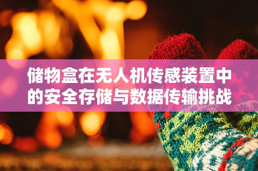 储物盒在无人机传感装置中的安全存储与数据传输挑战