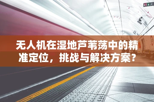 无人机在湿地芦苇荡中的精准定位，挑战与解决方案？