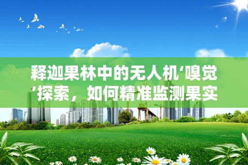 释迦果林中的无人机‘嗅觉’探索，如何精准监测果实成熟度？