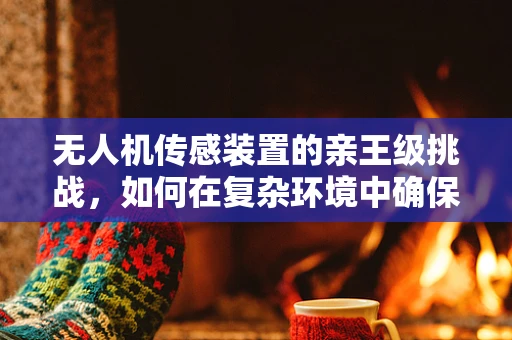 无人机传感装置的亲王级挑战，如何在复杂环境中确保精准定位？