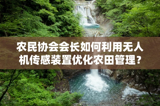 农民协会会长如何利用无人机传感装置优化农田管理？