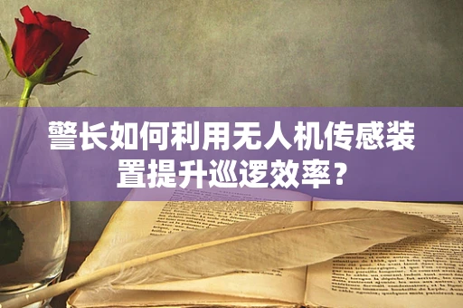 警长如何利用无人机传感装置提升巡逻效率？