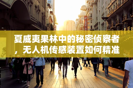 夏威夷果林中的秘密侦察者，无人机传感装置如何精准监测果实成熟？